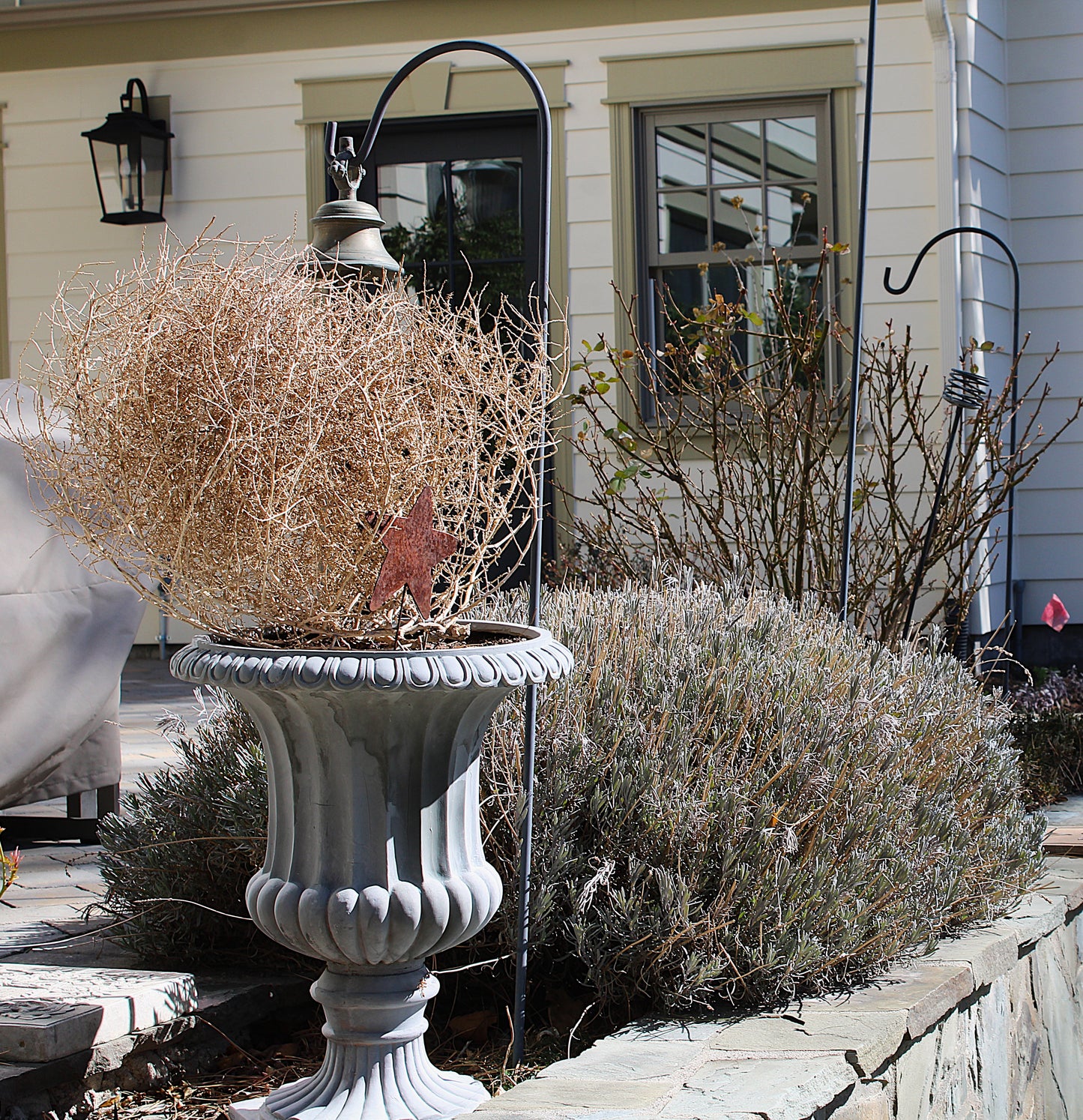 Wind Witch Lanterns - cord/outlet