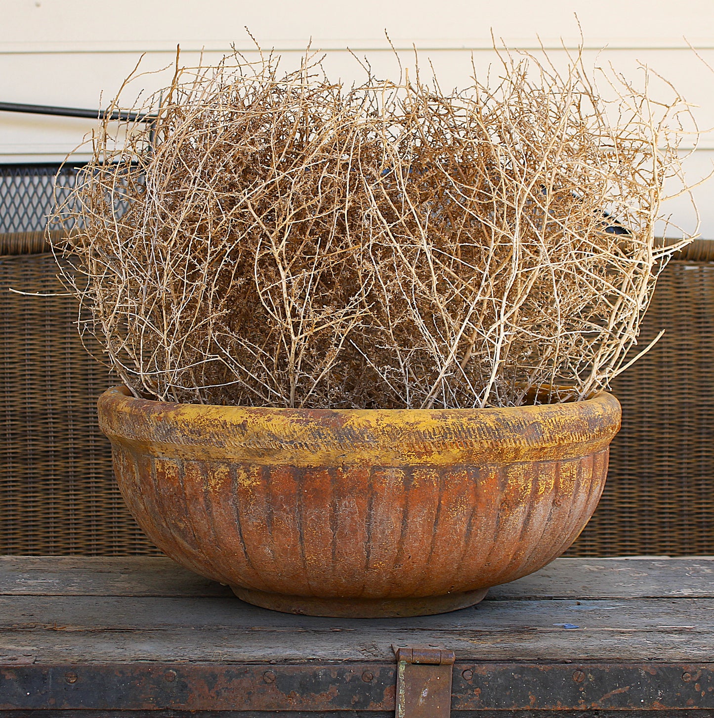 Wind Witches - Large